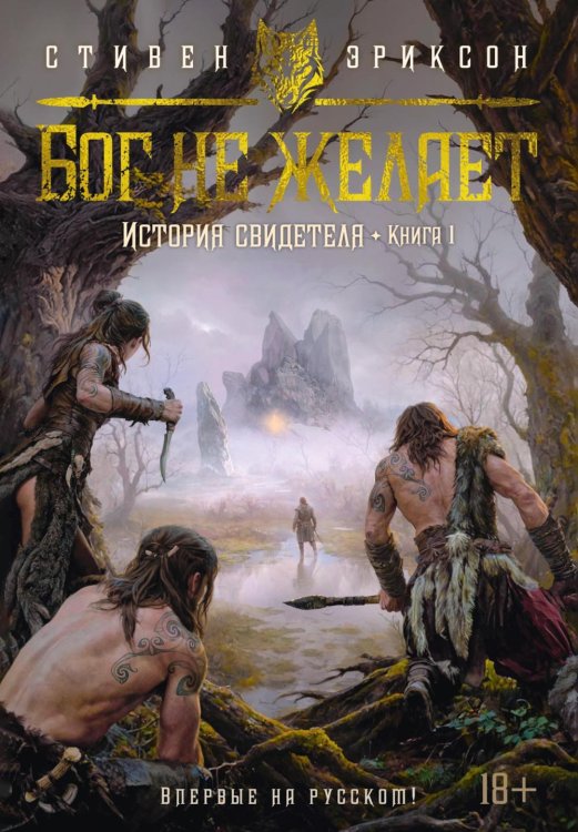 Звезды новой фэнтези История свидетеля. Кн. 1. Бог не желает: роман