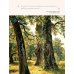 История моей семьи. Книга о самых дорогих людях. Книга о самых близких. Родословная летопись