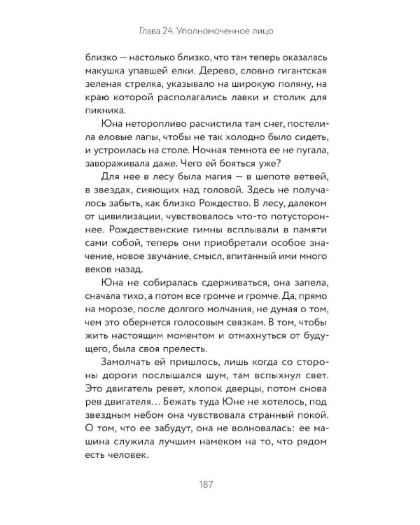 Рождественская история: роман