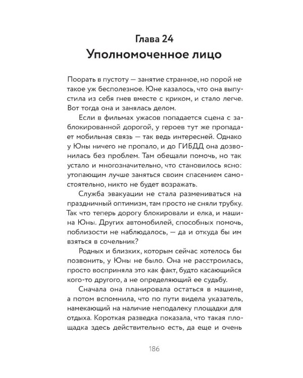 Рождественская история: роман