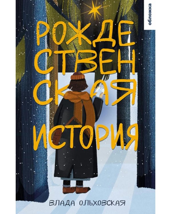 Рождественская история: роман