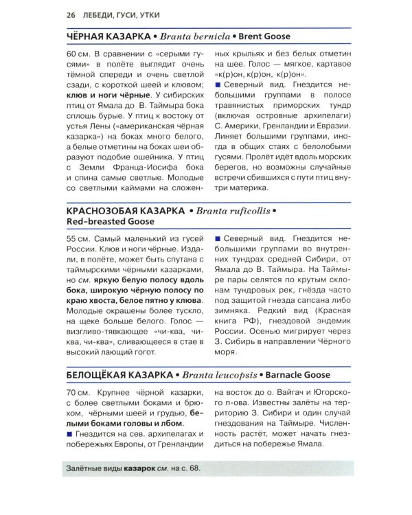 Птицы России. Фотоопределитель