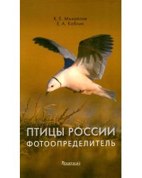 Птицы России. Фотоопределитель