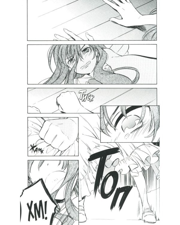 Торадора. Т. 7: манга