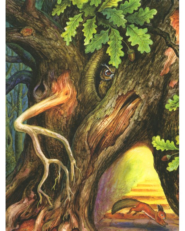 Лес чудес. Энциклопедия для детей