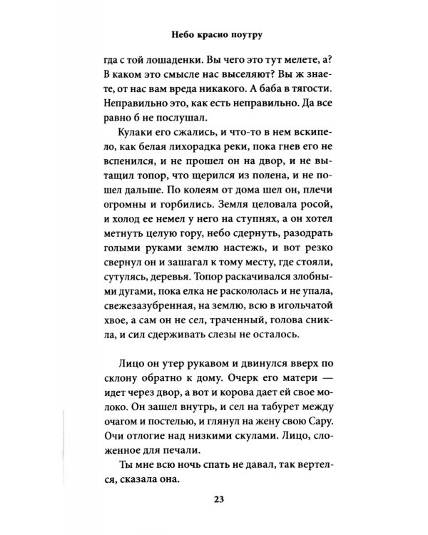 Небо красно поутру: роман