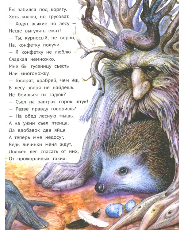 Лес чудес. Энциклопедия для детей