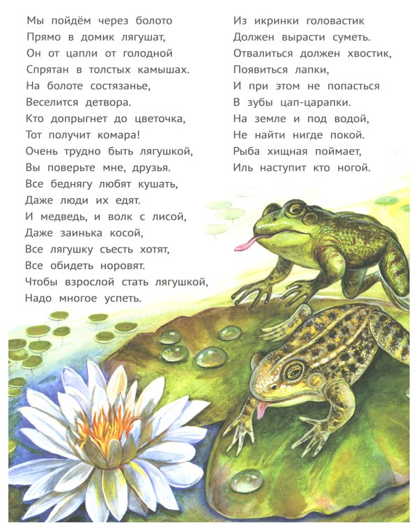 Лес чудес. Энциклопедия для детей