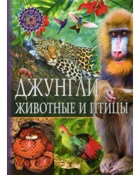 Джунгли. Животные и птицы. Детская энциклопедия