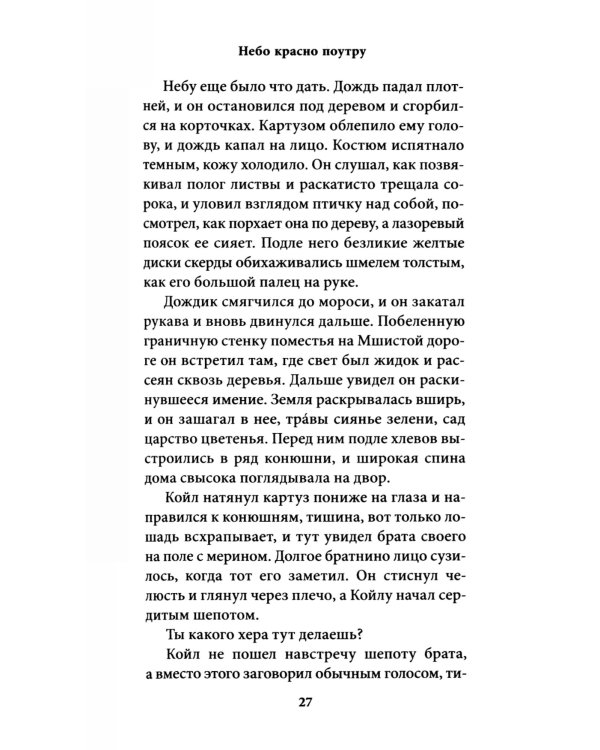 Небо красно поутру: роман