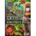 Популярная детская энциклопедия Джунгли. Животные и птицы. Детская энциклопедия