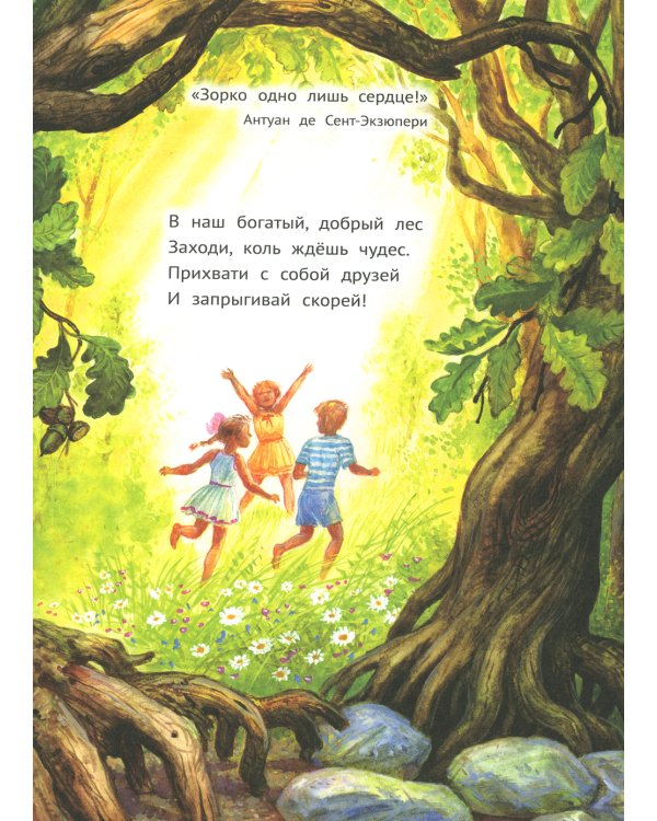 Лес чудес. Энциклопедия для детей