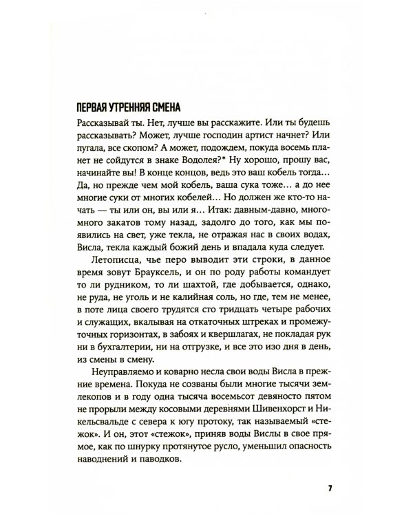 Собачьи годы: роман