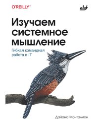 Изучаем системное мышление. Гибкая командная работа в IT