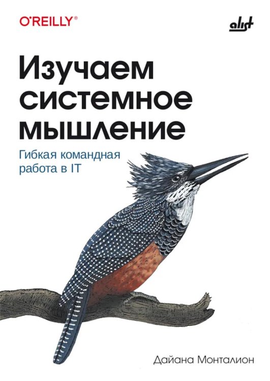 Обложка книги «Изучаем системное мышление. Гибкая командная работа в IT» — Монталион Дайана, ISBN 9786011293853