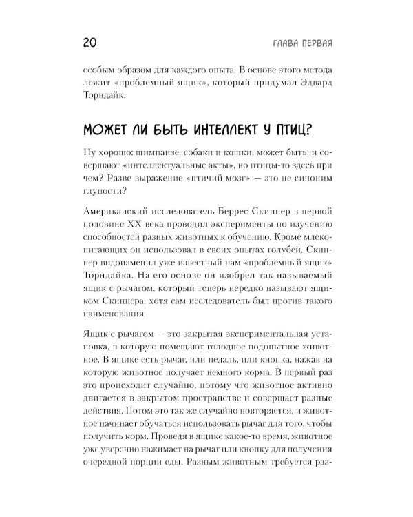 Самые умные птицы на свете. Вороны