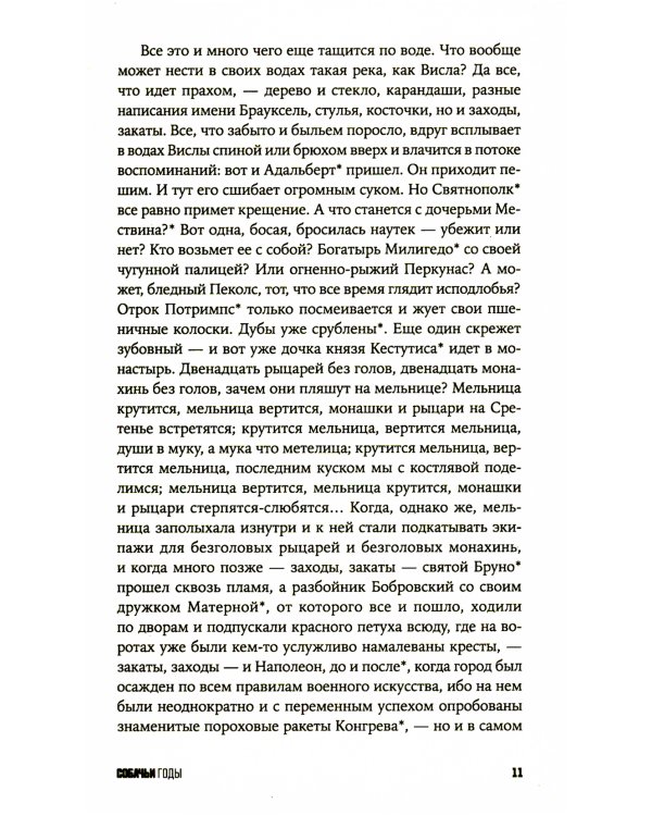 Собачьи годы: роман