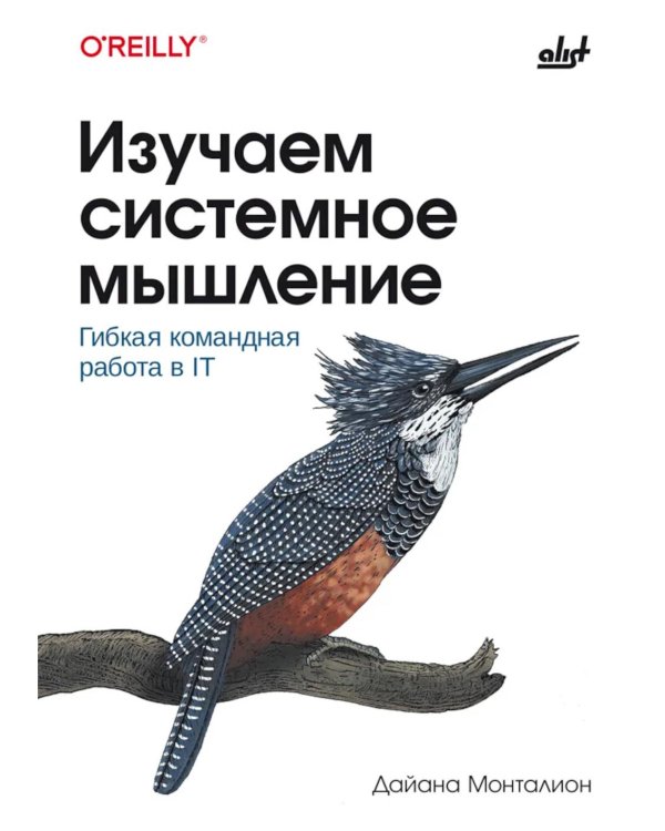 Дополнительное изображение книги «Изучаем системное мышление. Гибкая командная работа в IT»