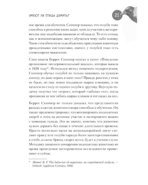 Самые умные птицы на свете. Вороны