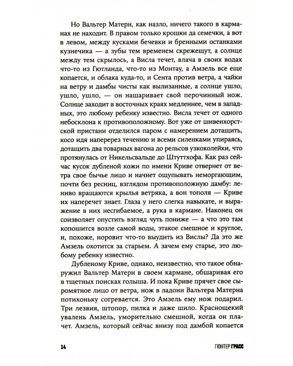 Собачьи годы: роман