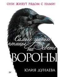 Самые умные птицы на свете. Вороны