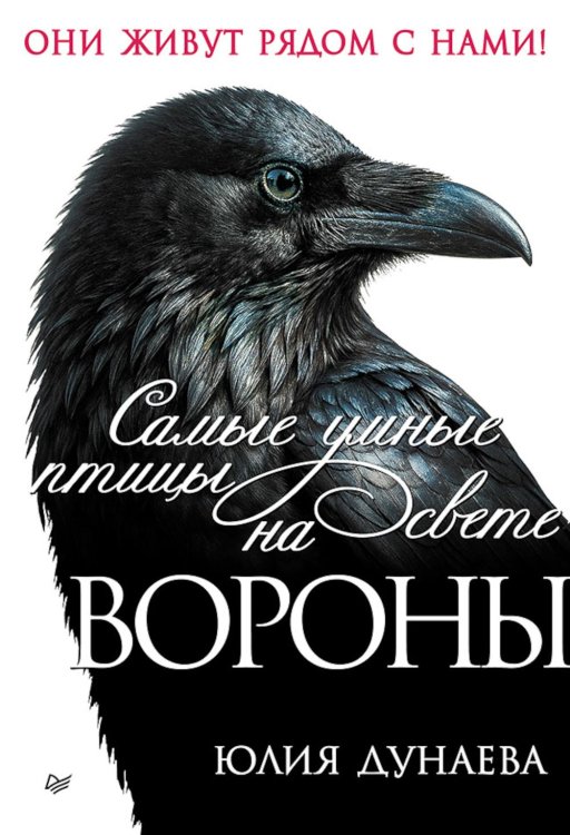 Самые умные птицы на свете. Вороны