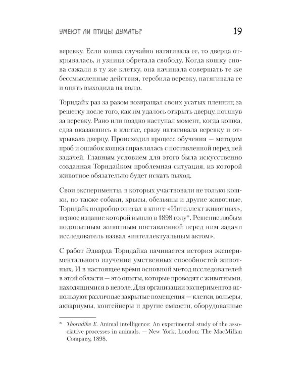 Самые умные птицы на свете. Вороны