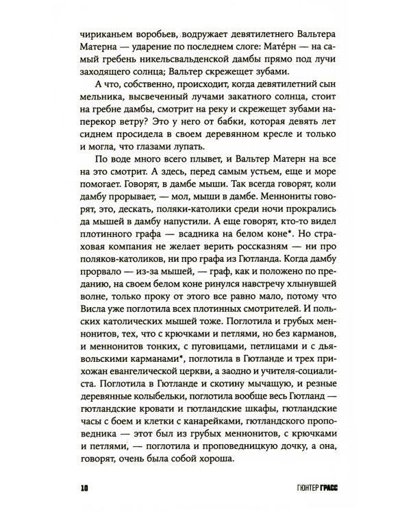 Собачьи годы: роман