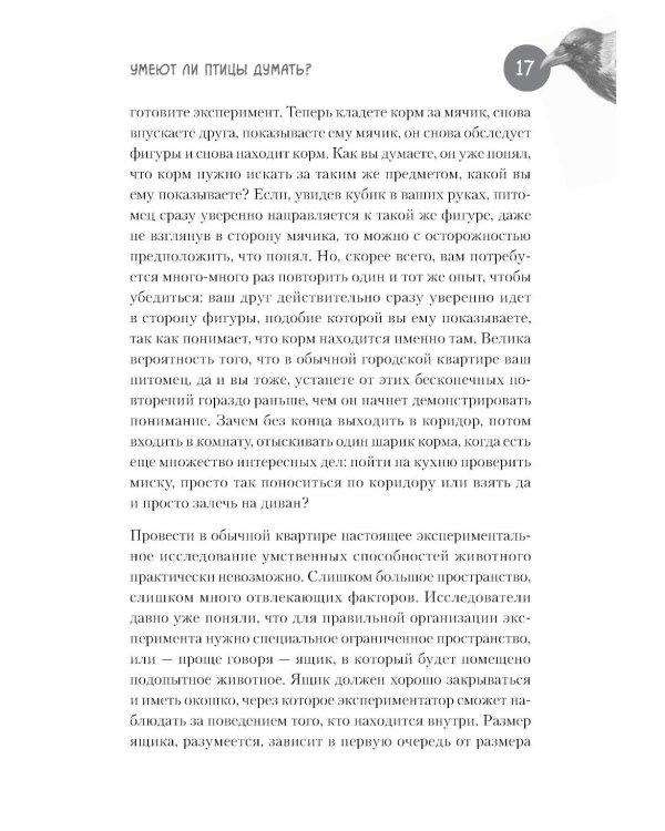 Самые умные птицы на свете. Вороны