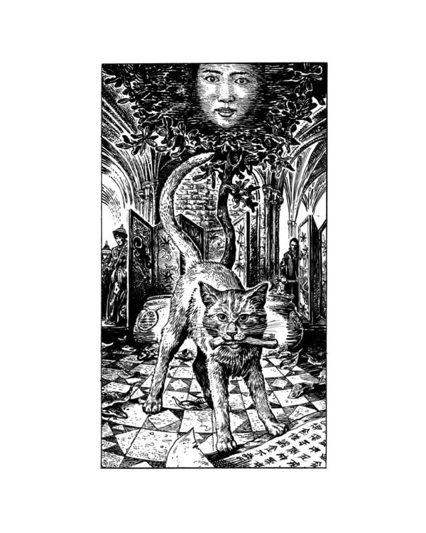 Дело Судьи Ди: роман