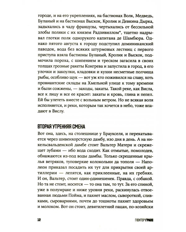 Собачьи годы: роман