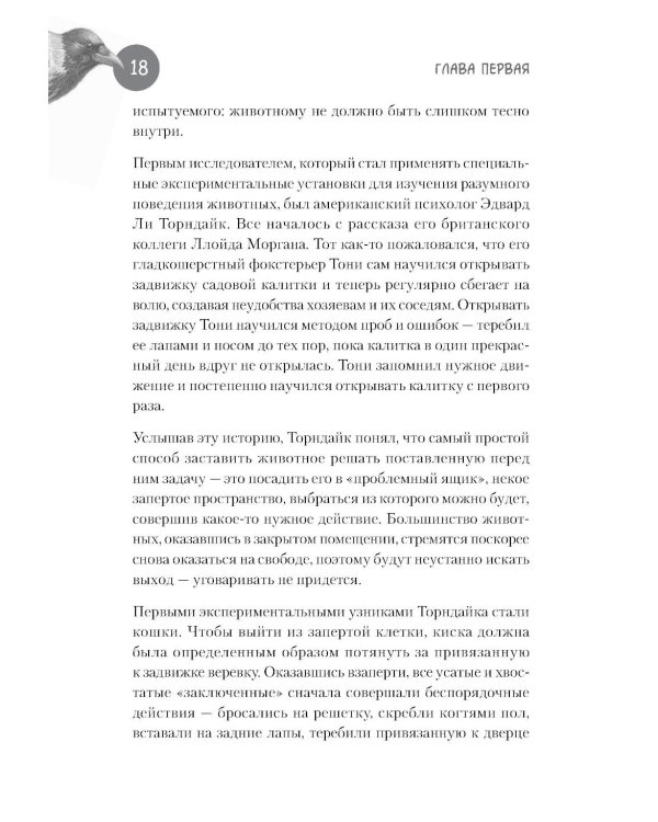 Самые умные птицы на свете. Вороны