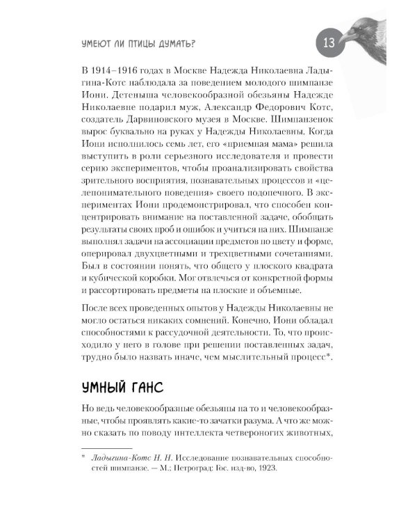 Самые умные птицы на свете. Вороны