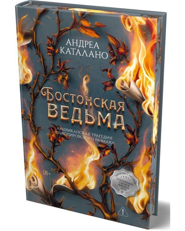 Дополнительное изображение книги «Бостонская ведьма: роман»