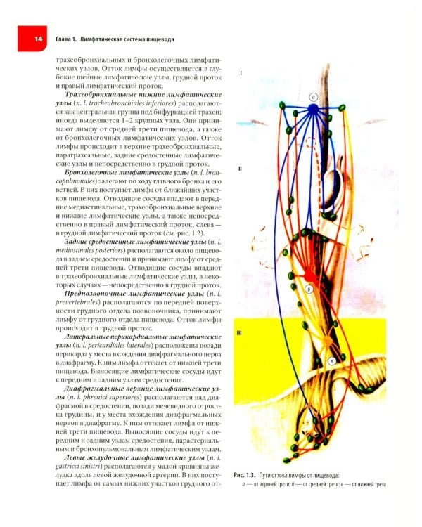 Атлас операций при злокачественных опухолях пищевода и желудка (обл.)