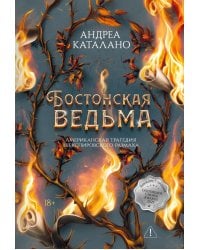 Бостонская ведьма: роман