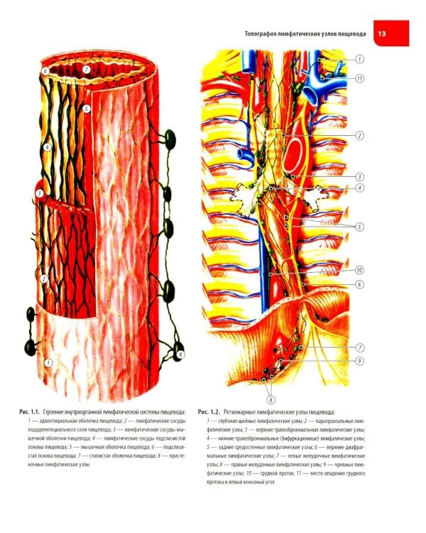 Атлас операций при злокачественных опухолях пищевода и желудка (обл.)
