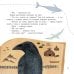 Дополнительное изображение книги «Ворон Кутх. Сказочный герой северных мифов: научно-популярная сказочная повесть»