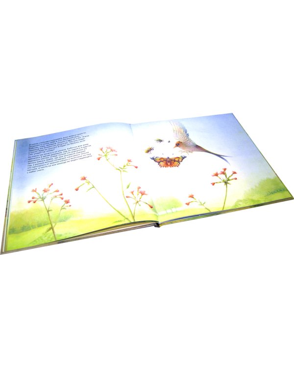 Улитка, пчелка и лягушка ищут снег