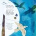 Дополнительное изображение книги «Ворон Кутх. Сказочный герой северных мифов: научно-популярная сказочная повесть»