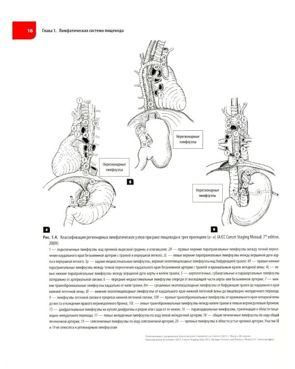 Атлас операций при злокачественных опухолях пищевода и желудка (обл.)
