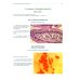Atlas of Histology, Cytology and Embryology