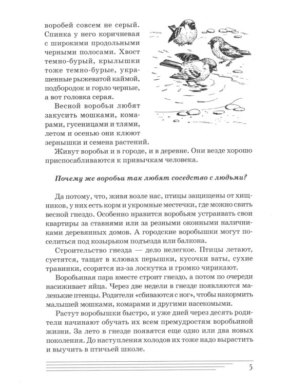 Птицы. Какие они? Книга для воспитателей, гувернеров и родителей