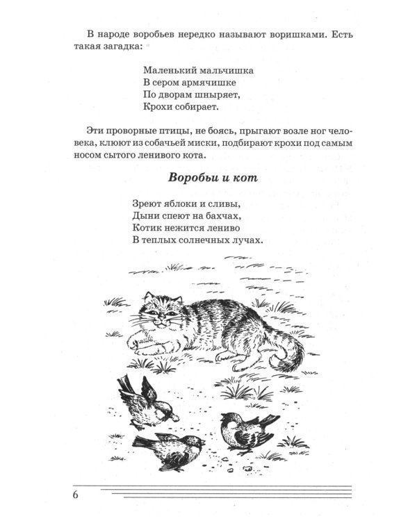 Птицы. Какие они? Книга для воспитателей, гувернеров и родителей