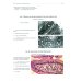 Atlas of Histology, Cytology and Embryology