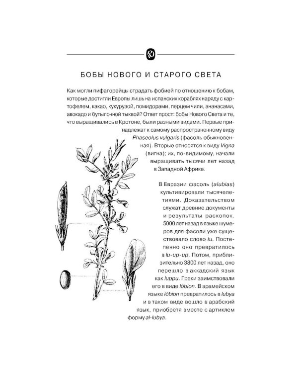 Дополнительное изображение книги «Бургер для Маркса: Кулинарный взгляд на историю философии»