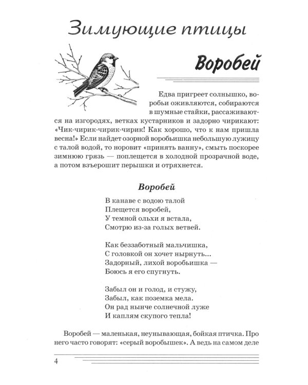 Птицы. Какие они? Книга для воспитателей, гувернеров и родителей