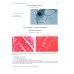 Atlas of Histology, Cytology and Embryology