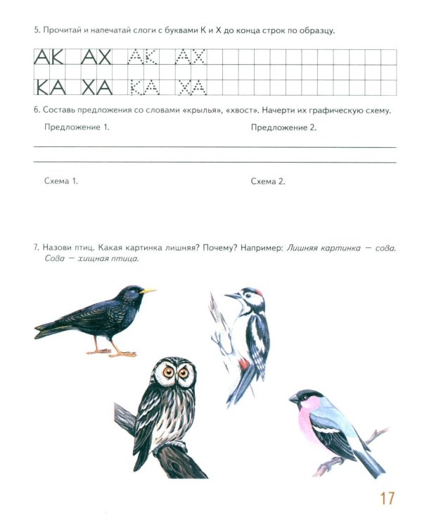Говорим правильно в 6-7 лет. Альбом 1 упражнений по обучению грамоте в подготовительной группе