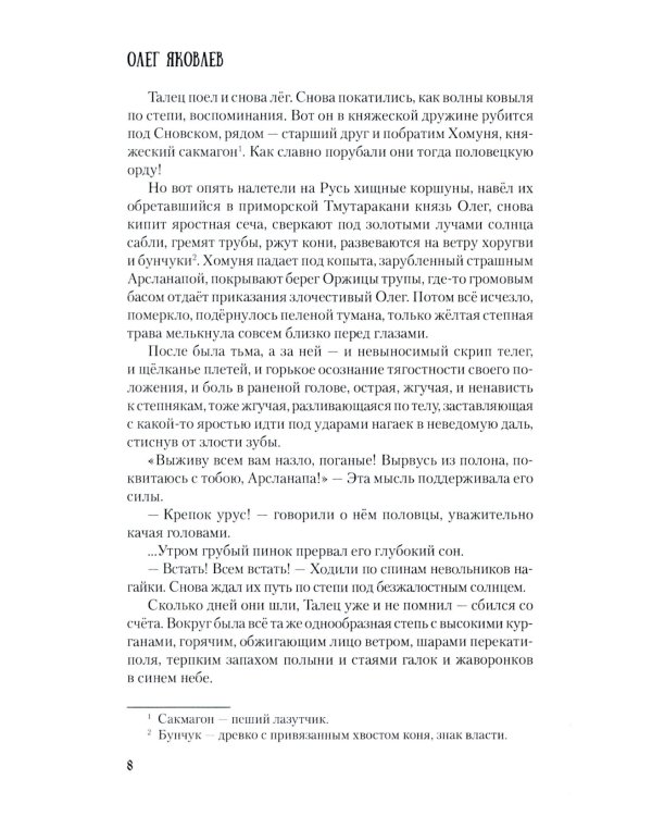 Во дни усобиц: роман